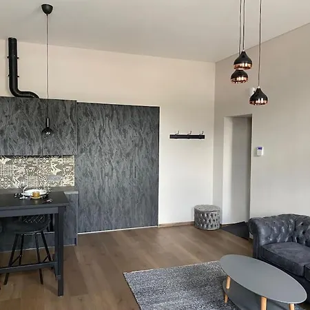 Apartment Modern Near Zalgirio Arena *