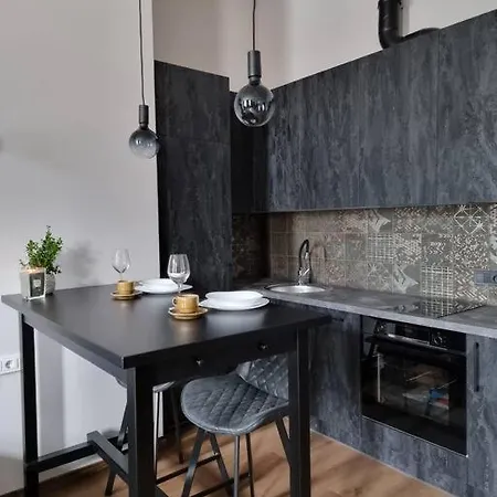 Apartment Modern Near Zalgirio Arena Kaunas